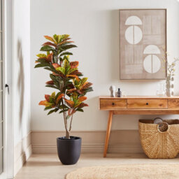 Wyld And Coco 140Cm Croton Faux Plant In Cement Pot - Lifelike Green And Black Leaves, Indoor Floor Decor - thumbnail 2