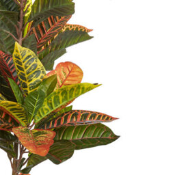 Wyld And Coco 140Cm Croton Faux Plant In Cement Pot - Lifelike Green And Black Leaves, Indoor Floor Decor - thumbnail 3