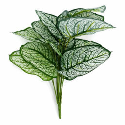 Leaf Pack Of 6 X 60Cm Artificial Caladium Stem Plant Green White Foliage - thumbnail 3