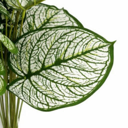 Leaf Pack Of 6 X 60Cm Artificial Caladium Stem Plant Green White Foliage - thumbnail 4