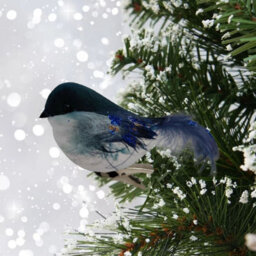 Premier Decorations Limited Night Blue Clip On Christmas Robin Festive Tree Bird Decoration 11Cm