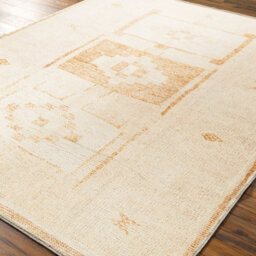 Livabliss Becki Owens Solana-Global Orange Ivory Living Dining Bedroom Rug 200 X 275 Cm Easy Care, Non Shedding - thumbnail 1
