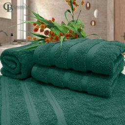 Casabella Premium Quality 4 Jade Hand Towels 100% Combed Cotton 650 Gsm Quick Dry Hand Towels Set 50X90 Cm - thumbnail 5
