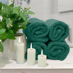 Casabella Premium Quality 4 Jade Hand Towels 100% Combed Cotton 650 Gsm Quick Dry Hand Towels Set 50X90 Cm - thumbnail 3