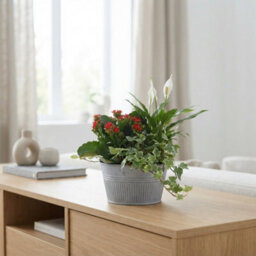 Zinc Planter Arrangement - 18Cm Pot - thumbnail 1