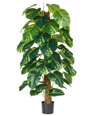 Wyld And Coco Dieffenbachia 152 Cm Artificial Potted Plant Green And Black, Flexible Stems With Cement Base - image 1