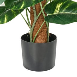 Wyld And Coco Dieffenbachia 152 Cm Artificial Potted Plant Green And Black, Flexible Stems With Cement Base - thumbnail 5
