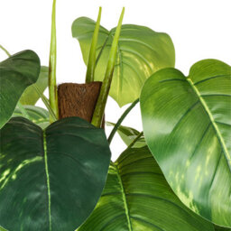 Wyld And Coco Dieffenbachia 152 Cm Artificial Potted Plant Green And Black, Flexible Stems With Cement Base - thumbnail 3