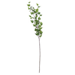 Hill Interiors Uk Homeliving Green Branch Spray - thumbnail 4