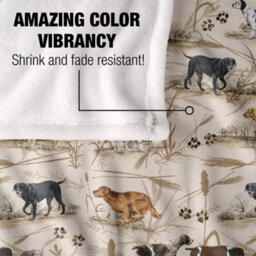 Jq Licensing Hunting Breeds Silky Dogs Supersoft Blanket Multicoloured (152Cm X 127Cm) - thumbnail 4