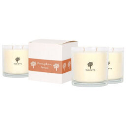 Nicola Spring 3X Pumpkin Spice Scented Candles - 400G 28H Natural Single Wick Soy Wax Aromatherapy Candle Home Fragrance