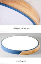 Pheashine Blue Acrylic Ceiling Lamp 24W 6500K White Light Industrial Design 220V - thumbnail 5