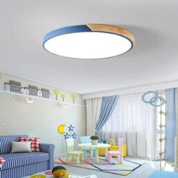 Pheashine Blue Acrylic Ceiling Lamp 24W 6500K White Light Industrial Design 220V - thumbnail 3