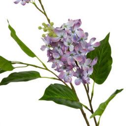 Wyld Haus Set Of 3 Artificial Lilac Stems 750mm Purple Decorative Flowers - thumbnail 2
