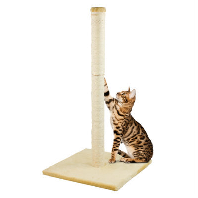 Kct Large Scratching Post For Indoor Cat Kitten Scratcher Scratch 78Cm Beige Pole With Natural Durable Sisal Heavy Duty Compact - image 1