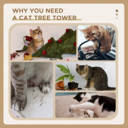 Pawhut 91Cm Scratching Posts Cat Tree Activity Centre For Indoor Cats Cream - thumbnail 7