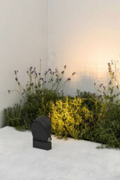Luminosa Lighting Luminosa Muur 250 Dark Grey Projector Lamp 28.5W 3000K Ip65 - thumbnail 2