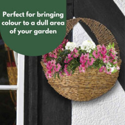 Marco Paul Garden Hanging Flower Basket 16' - thumbnail 7