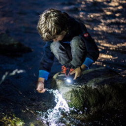 Ledlenser Kidbeam4 Aaa Battery 70 Lumen Safe Robust Rgb Light Led Hand Torch For Camping And Night Time Fun - thumbnail 8