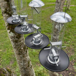 Selections Heavy Duty Aluminium Bird Seed Feeder With Seed Catcher Tray (Set Of 4)