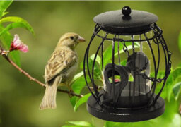 Nature's Market Wild Bird Hanging Lantern Seed Bird Feeder - thumbnail 2