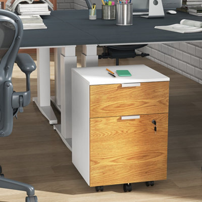 Homcom 2 Drawer Filing Cabinet With Adjustable Hanging Bars For A4 And Letter - image 1