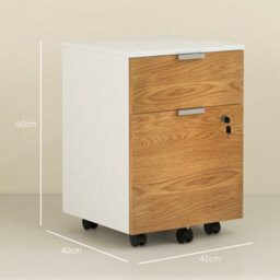 Homcom 2 Drawer Filing Cabinet With Adjustable Hanging Bars For A4 And Letter - thumbnail 3