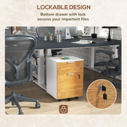 Homcom 2 Drawer Filing Cabinet With Adjustable Hanging Bars For A4 And Letter - thumbnail 6