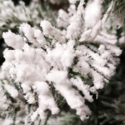 Samuel Alexander 3Ft (90Cm) Mini Imperial Snowy Christmas Tree In Jute Bag - thumbnail 4