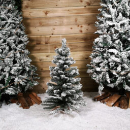 Samuel Alexander 3Ft (90Cm) Mini Imperial Snowy Christmas Tree In Jute Bag - thumbnail 3