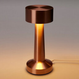 Urbn-Living Urbnliving Rechargeable Led Touch Table Lamp With Usb Charging - Copper Set Of 2 - thumbnail 2
