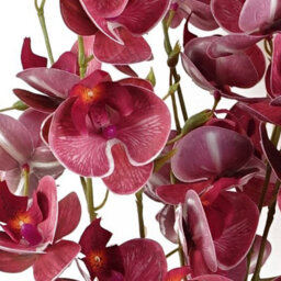 Leaf Pack Of 6 X 80Cm Dark Pink Artificial Mini Orchid Stem - thumbnail 4
