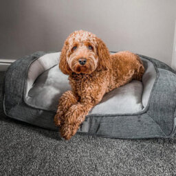 All Pond Solutions All Pet Solutions Duke Luxury High Density Foam Sofa Dog Bed Grey Large - thumbnail 3