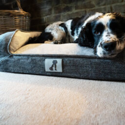 All Pond Solutions All Pet Solutions Duke Luxury High Density Foam Sofa Dog Bed Grey Large - thumbnail 6