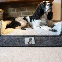 All Pond Solutions All Pet Solutions Duke Luxury High Density Foam Sofa Dog Bed Grey Large - thumbnail 7