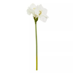 Orsina Fiori Amaryllis Stem - 72Cm Ivory, Graceful Faux Flower With Soft Ivory Petals And Realistic Finish, Adds - thumbnail 1