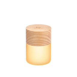 Gingko Lemelia Led Desk Light White Ash Wood Modern Table Lamp