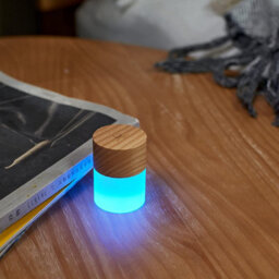 Gingko Lemelia Led Desk Light White Ash Wood Modern Table Lamp - thumbnail 6