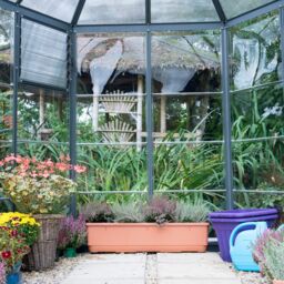 Palram - Canopia Oasis™ 8X6 Ft Grey Polycarbonate (Pc) Hexagonal Greenhouse - thumbnail 4