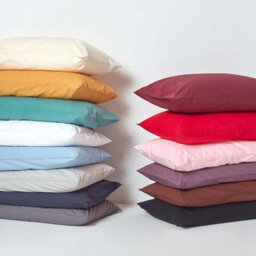 Homescapes Chocolate Egyptian Cotton Fitted Sheet 200 Tc, Single - thumbnail 6