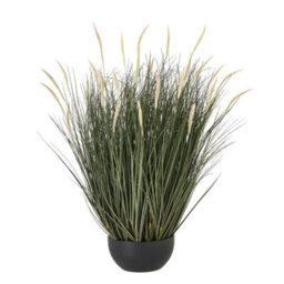 Wyld Haus 81Cm Tall Artificial Grass Plant (Pot Not Included) - thumbnail 1