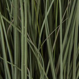 Wyld Haus 81Cm Tall Artificial Grass Plant (Pot Not Included) - thumbnail 3