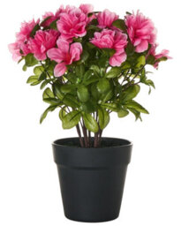 Wyld And Coco 36 Cm Pink Rhododendron Artificial Plant, Silk-Like Indoor Potted Decor - thumbnail 1