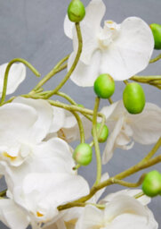 Orsina Fiori White Orchid Plant Artificial Plant Foliage - thumbnail 5