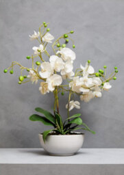 Orsina Fiori White Orchid Plant Artificial Plant Foliage - thumbnail 2