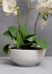 Orsina Fiori White Orchid Plant Artificial Plant Foliage - thumbnail 4