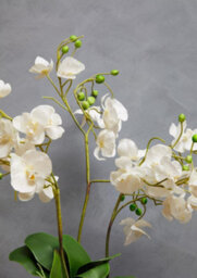 Orsina Fiori White Orchid Plant Artificial Plant Foliage - thumbnail 3