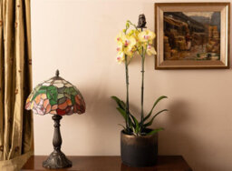 Jardinopia Beatrix Potter Mr. Jeremy Fisher Cane Or Stake Topper (Ccbp0005) - L5 X W5 X H7 Cm - thumbnail 5