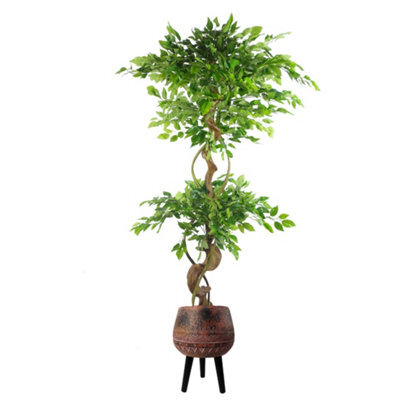Pegdev - Pdl 150Cm Artificial Japanese Fruticosa Ficus Tree With Twisted Trunk Indoor Plant In Large Rustic Brown/black Planter - image 1