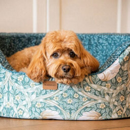Morris & Co Pimpernel & Lily Leaf Large Oval Dog Bed - thumbnail 6